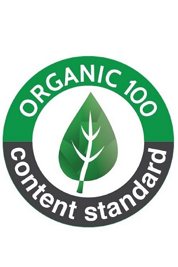 5 Adet, %100 Organik Pamuk, Erkek Slip Külot - 3
