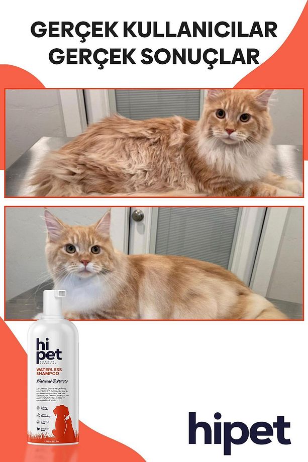 Kedi Kuru Şampuan - 4