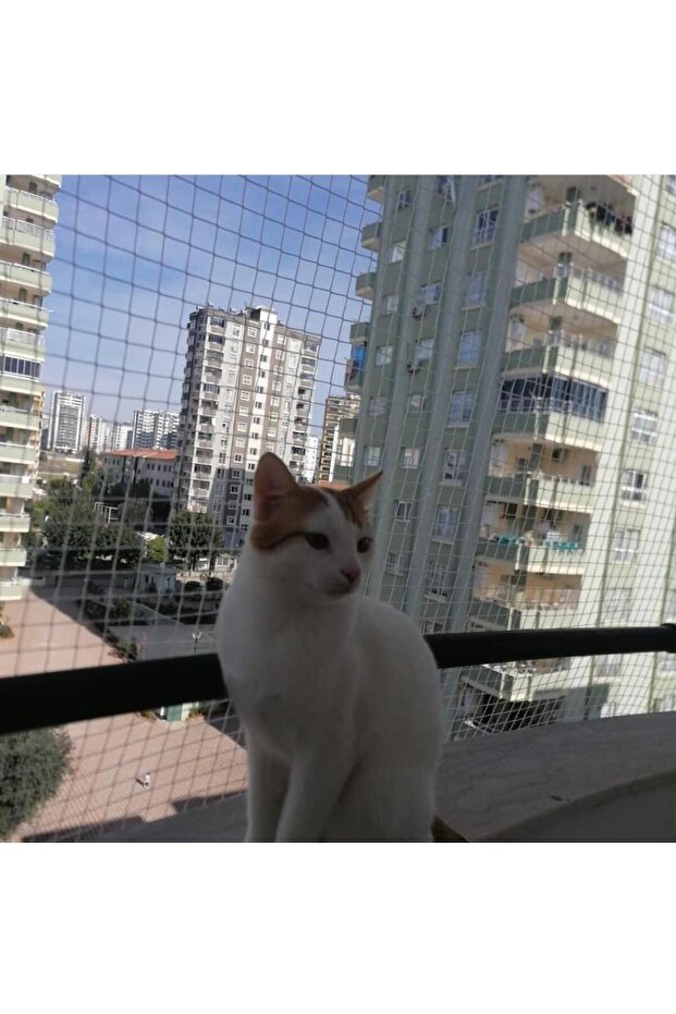 Kedi Filesi, Balkon Koruma Filesi (2.5metre*6metre) - 1