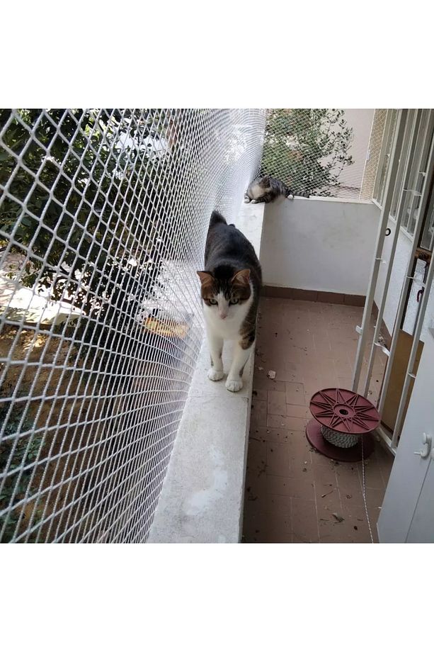 Kedi Filesi, Hayvan Koruma Filesi (2METRE*8METRE) - 4