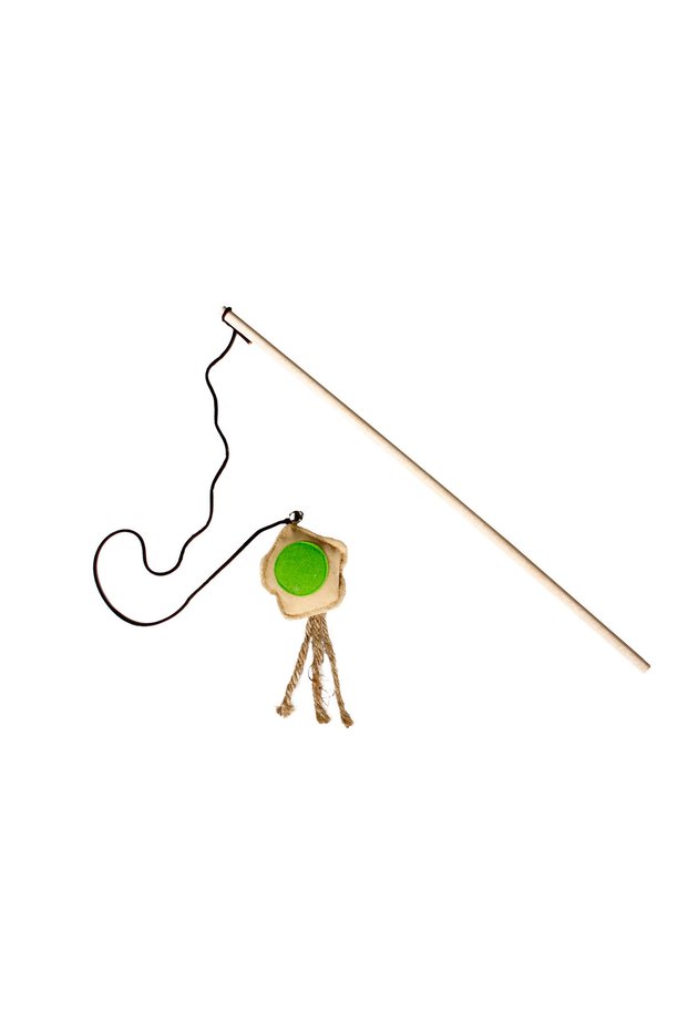 Cat Fishing Rod Flower 50 cm