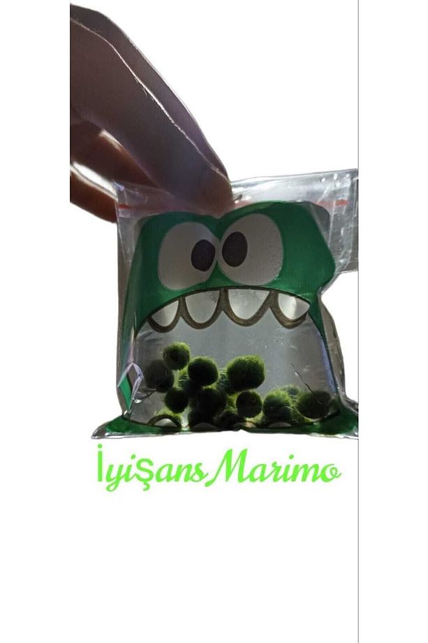 Marimo Baby Şans Yosunu Mossball Büyütmek Ve Çoğaltmak Için 1 Adet (0.5-1CM) - 4