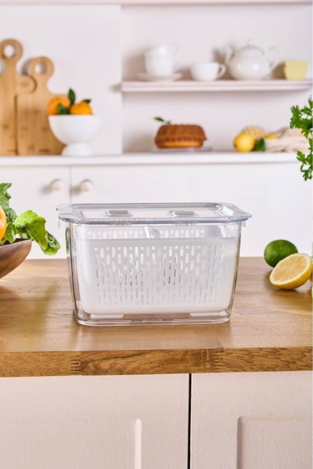 حاوية تخزين الخضار/الفاكهة الحمضية L - 6