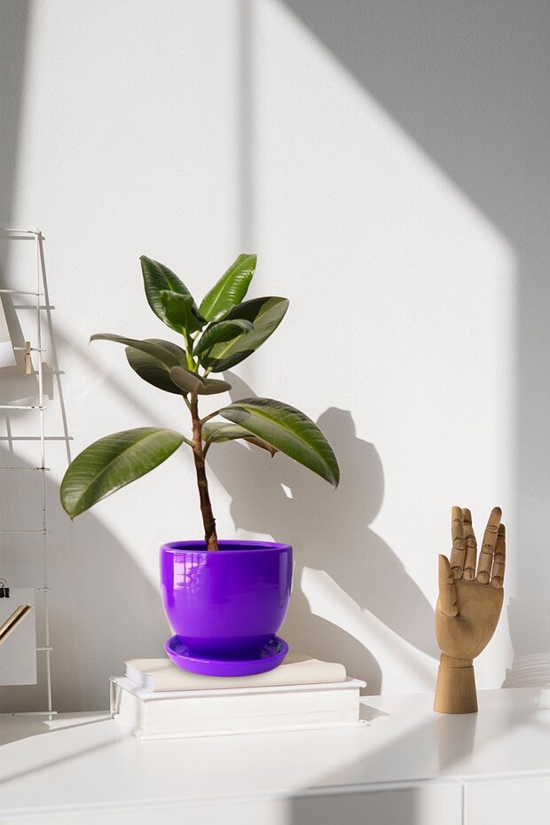 Tabaklı Mor U Çömlek Saksı 16x16 Cm - 1