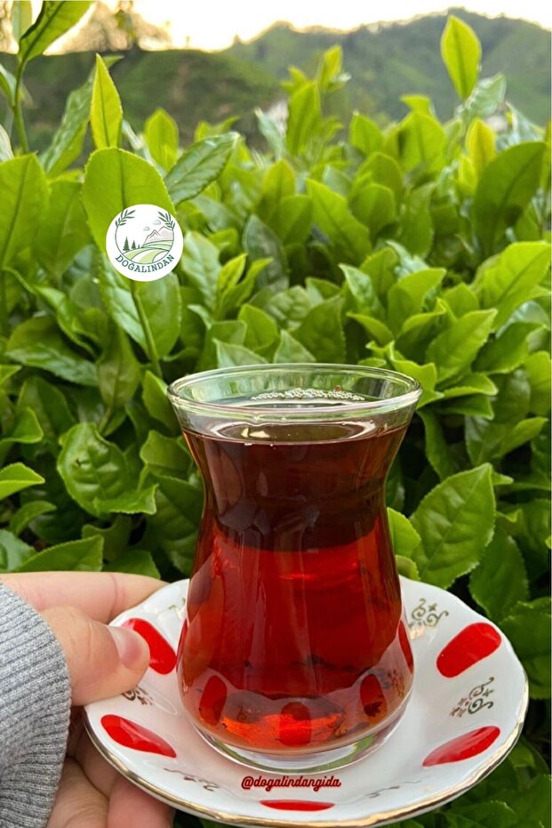الشاي الأسود الحصاد الأول 1 كجم (إنتاج عالي الجودة)