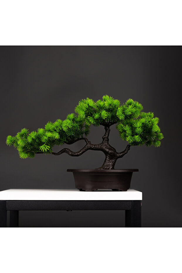Tanhai Pine 22x36 27cm Artificial Pine Plants Bonsai Fake Tree Ornaments Plastic Plants Landscape Si