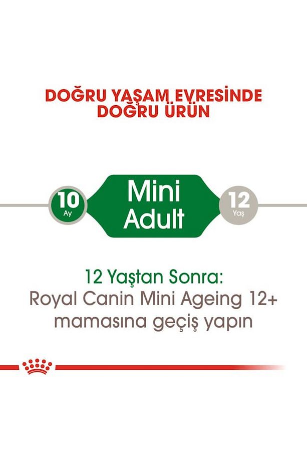 Mini Adult Pouch Yetişkin Köpek Konservesi 85 gr - 5