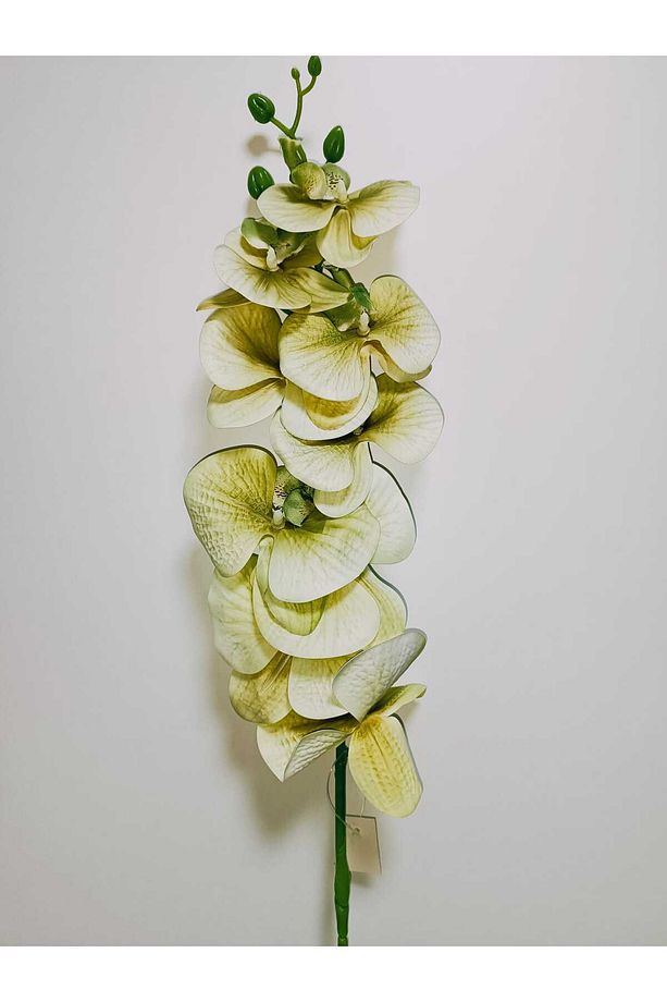 Yapay Dal Baskılı Islak Doku Orkide Çiçeği 88 Cm Haki- Yeşil - 1