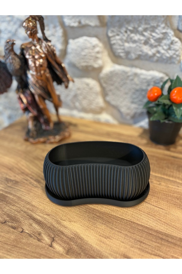 Sukulent Saksı Seti - 2 Parça - 3