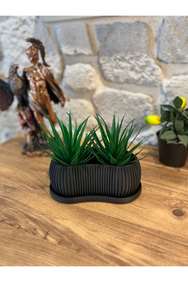 Sukulent Saksı Seti - 2 Parça - 1