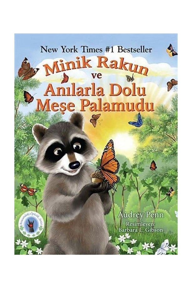 Minik Rakun ve Anılarla Dolu Meşe Palamudu - 1