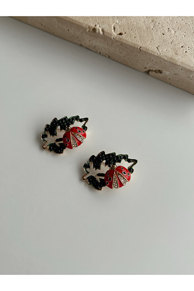 Uğur Böceği Broş - 1