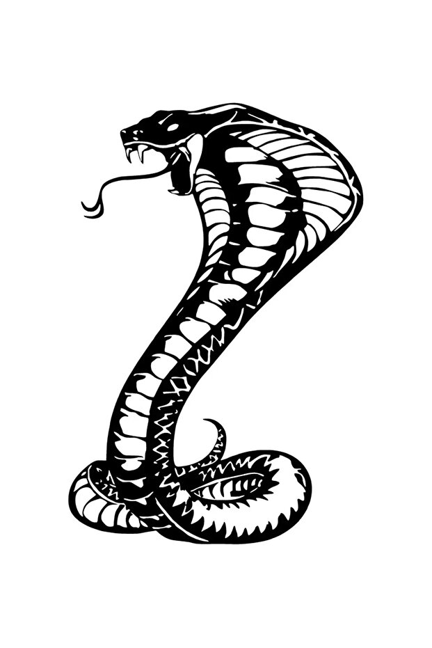 Angry Cobra Snake Wall Decor Sticker 40 X 60 cm
