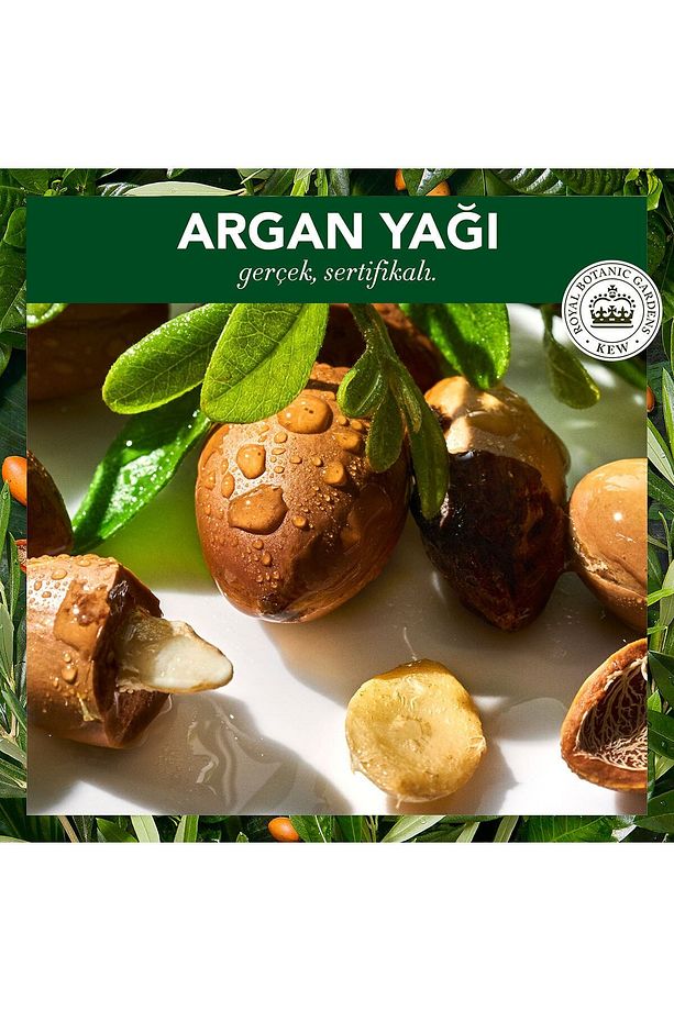 Vegan Şampuan Onarıcı Argan Yağı 350 ml - 4