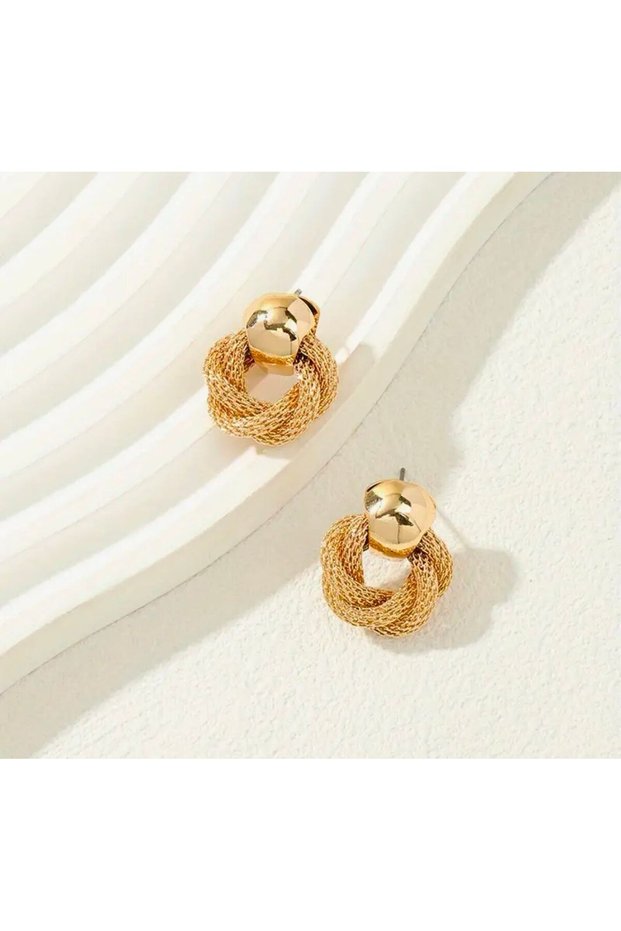 Steel Women's Earrings Special Design