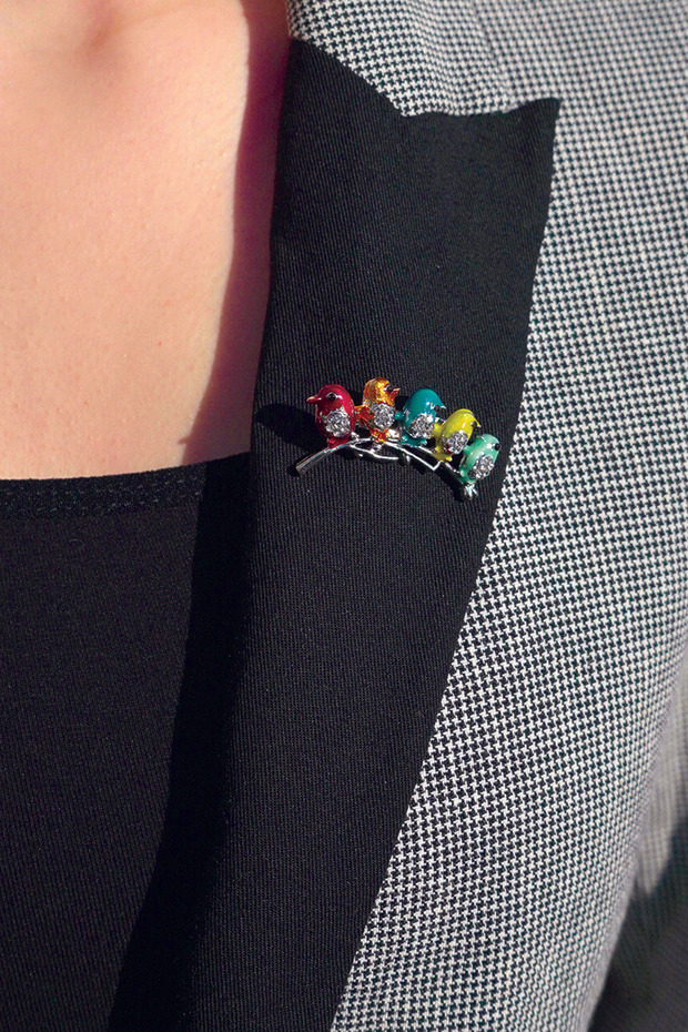 Dalda renkli kuşlar Broş - 2