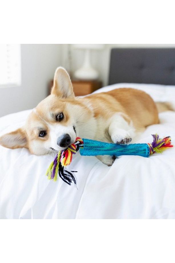 Orka Stick Alternatif Ipli Köpek Çiğneme Oyuncağı - 3