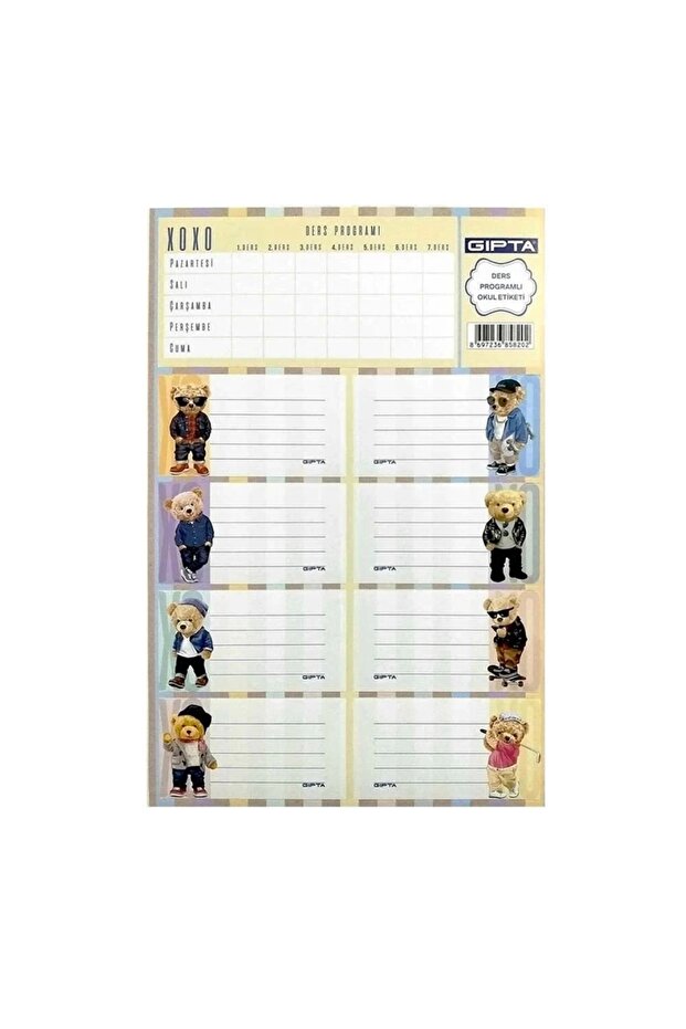 Xoxo Lesson Programmed School Sticker - 6594 - 2