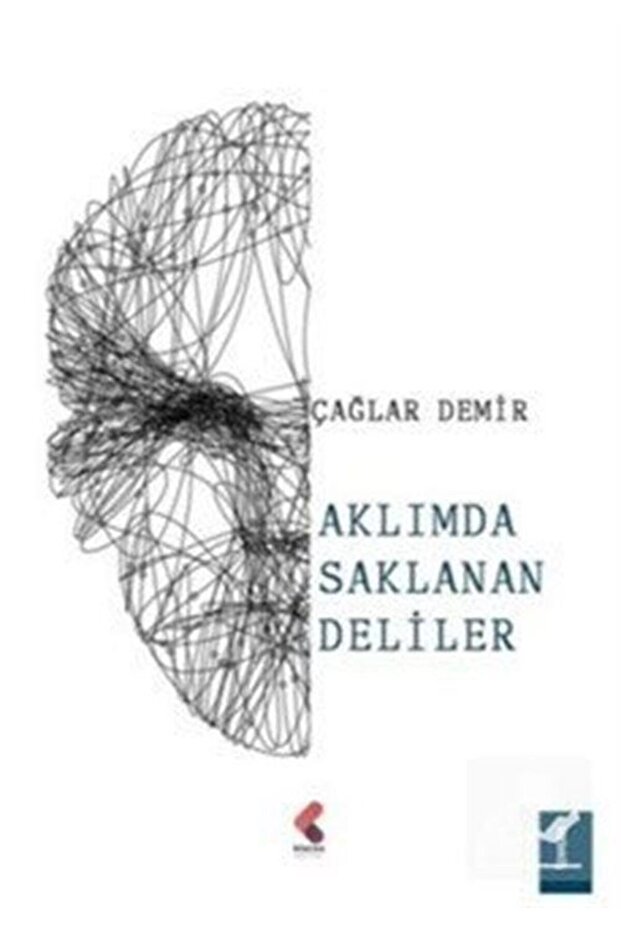 Aklımda Saklanan Deliler