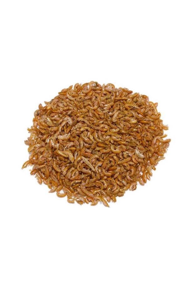 Gammarus 50 Gr Kaplumbağa ve Balık Yemi Skt:11/2027 - 1