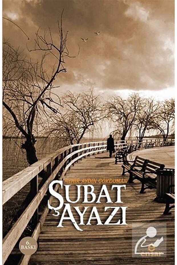 Şubat Ayazı