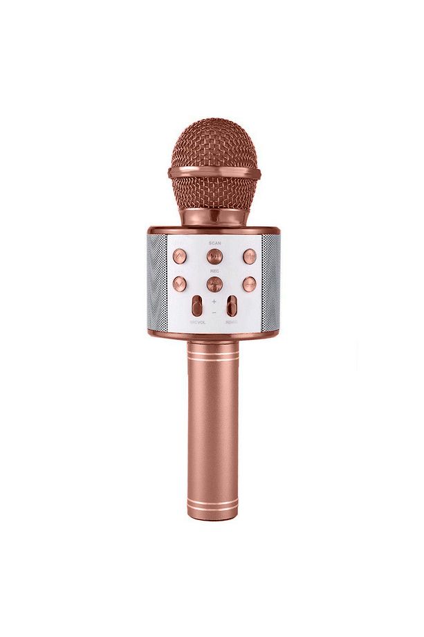 Karaoke Mikrofon Bluetooth, Usb, Hafıza Kartı Ve Aux Girişli Ws-858 - 1