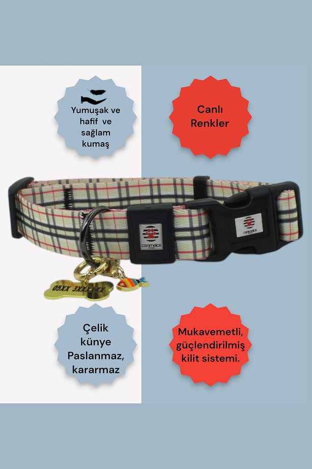 KÖPEK TASMA SETİ KİŞİYE ÖZEL KÜNYELİ İSİMLİ TASMA H TİPİ TASMA GÖVDE BOYUN GEZDİRME TASMASI - 4