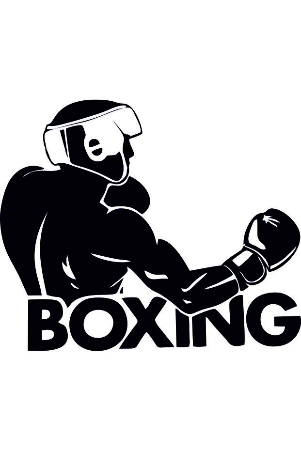 Boxing 2 Auto Sticker(30X29Cm)