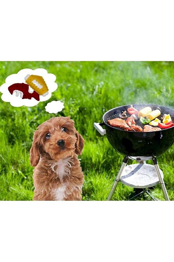 Yum N Fun Balık Aromalı Çiğneme Köpek Oyuncağı 12,5 Cm - 8