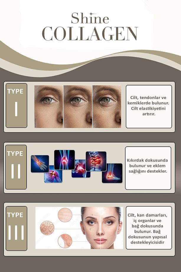 Tip 1/2/3 Kolajen 800gr Yüksek Kaliteli Çift Hidrolize Collagen %100 Doğal 80 Günlük - 7