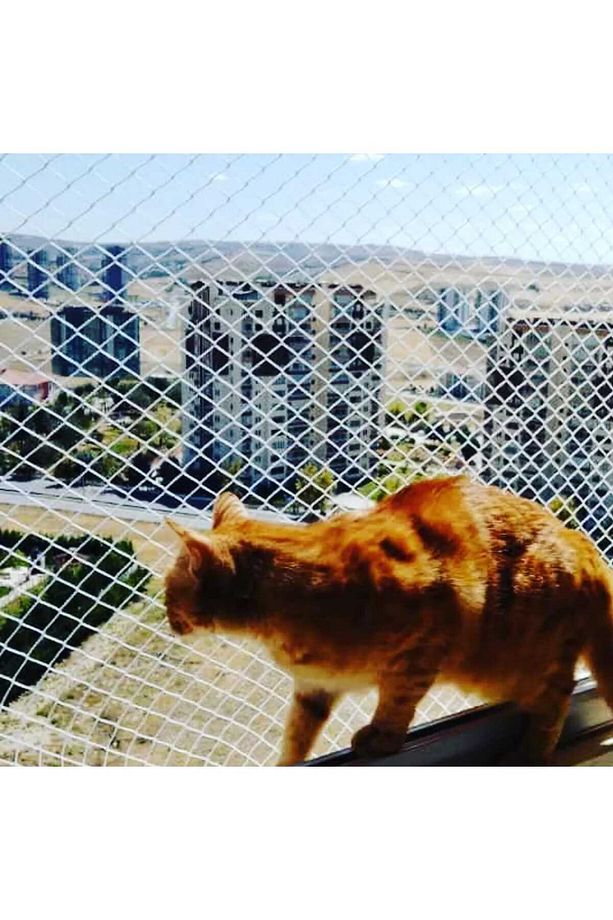 Kedi Filesi, Hayvan Koruma Filesi (3metre*6metre) - 6