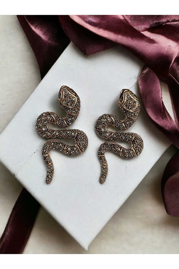 أقراط على شكل ثعبان - 1