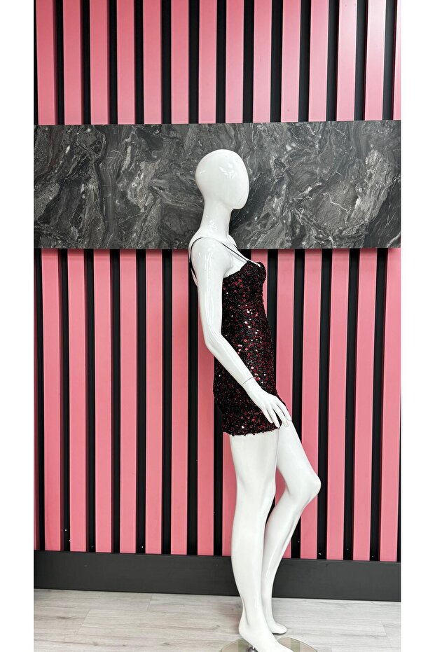 Pul Payet Mini Elbise - 2