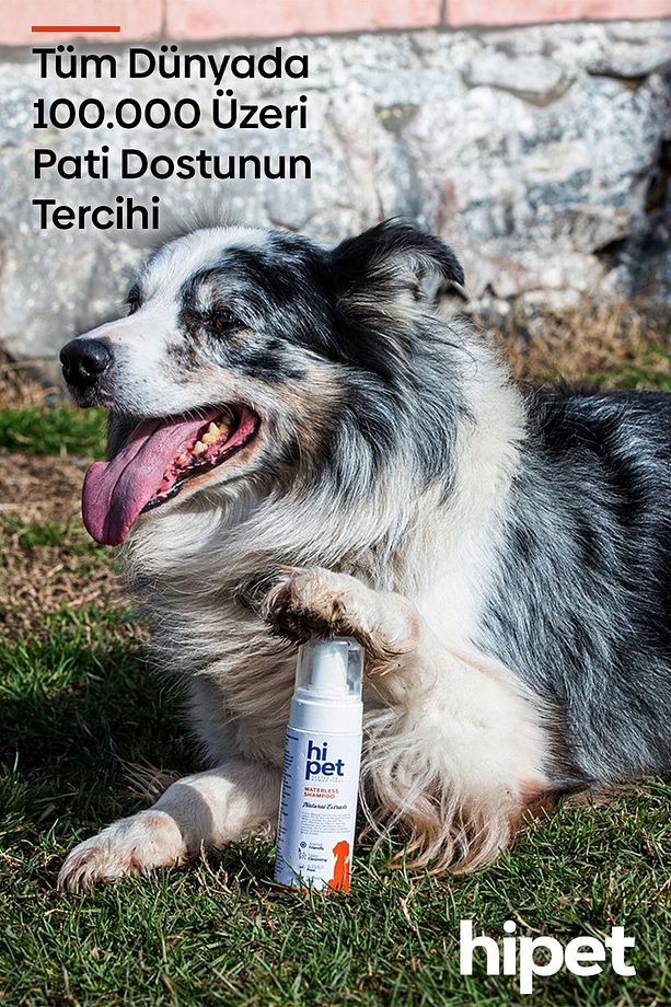 Köpek Kuru Şampuan - 5