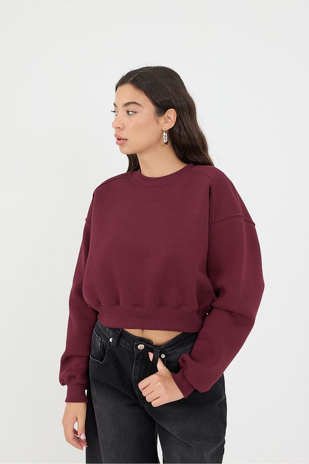 Şardonlu Bisiklet Yaka Basic Sweatshirt S3812-w1 - 5