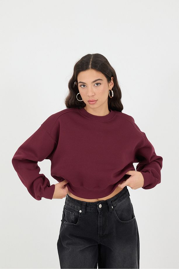 Şardonlu Bisiklet Yaka Basic Sweatshirt S3812-w1 - 3