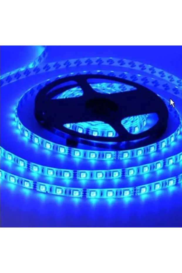 Dış Mekan 3528 SMD Mavi Tek çipli Şerit Led 5 Metre - 1