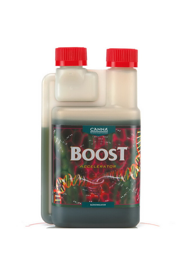 Boost Accelerator 250 ml - 1