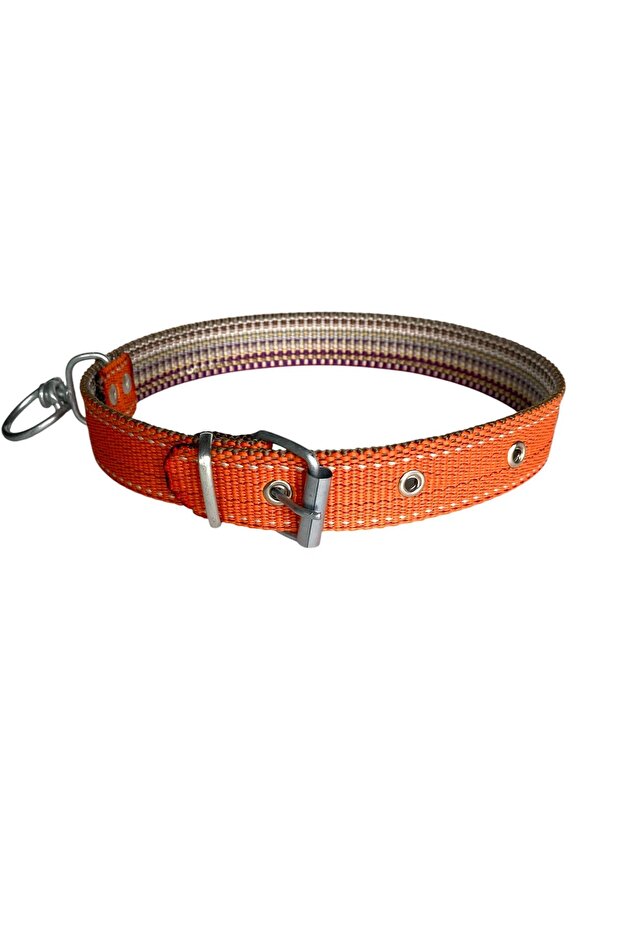 طوق كلب كبير الحجم - 2