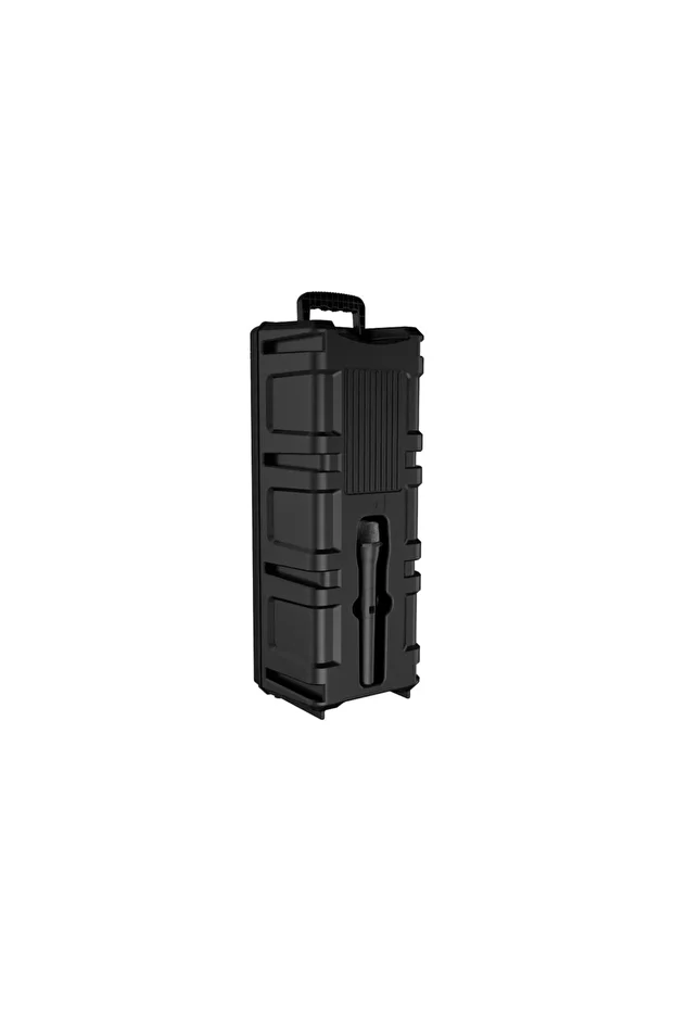 8.0"x2 Kablosuz Mifrofonlu Ledli Bluetooth Hoparlör Bts-68 - 2