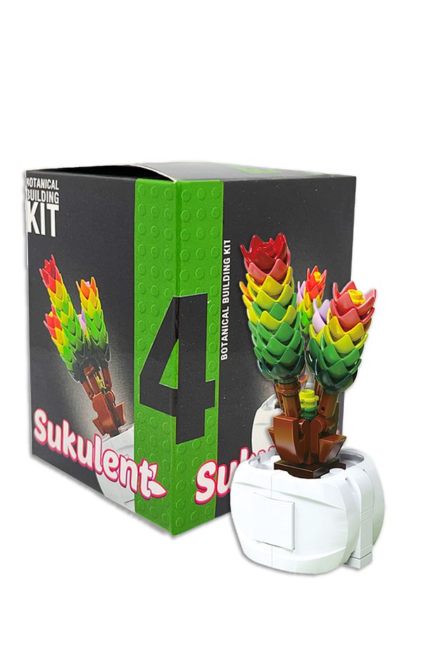 Iconic Dekoratif, Koleksiyonluk ve Sergilenebilir Blok Sukulent Çiçek Modeli Yapım Set - 5