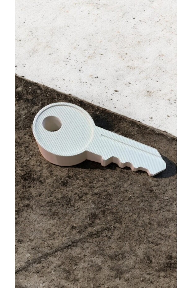 سدادة باب التبديل - 4