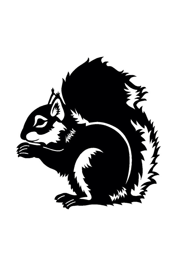 Squirrel Sticker 10 X 11 cm