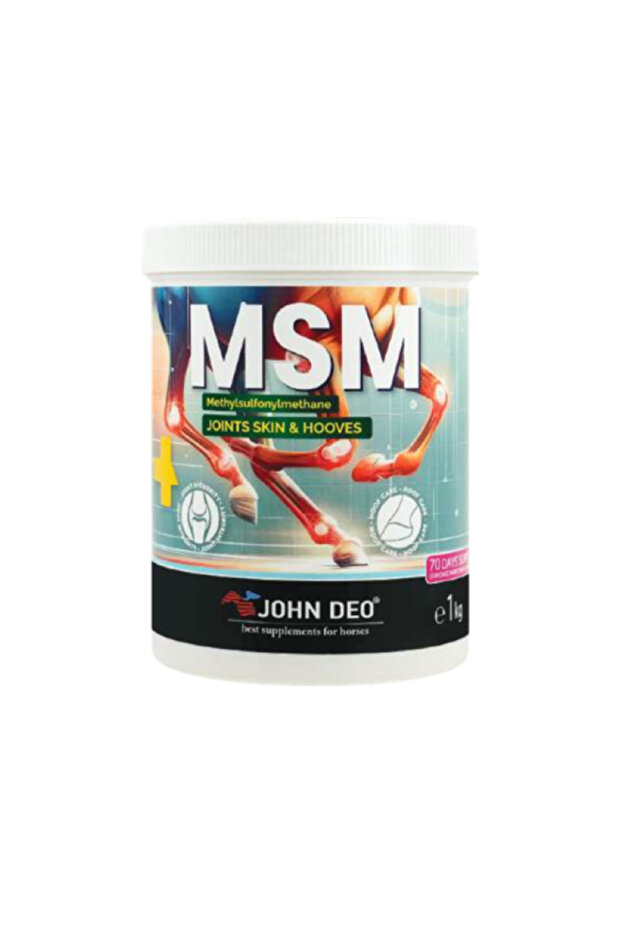 MSM 1 KG