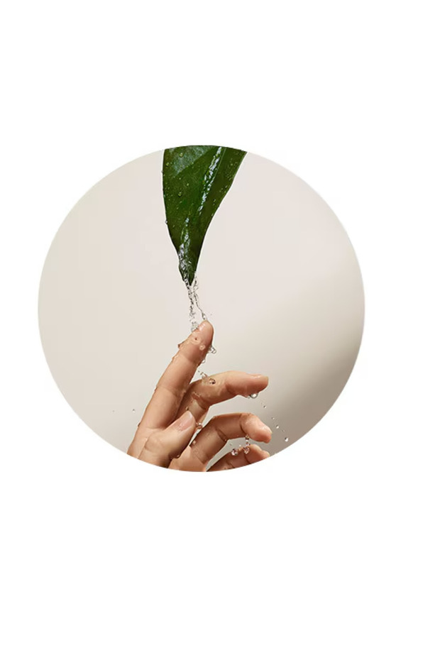 Botanical Repair Onarım Seti - Şampuan 200ml Saç Kremi 200ml Gece Serumu 30ml - 7