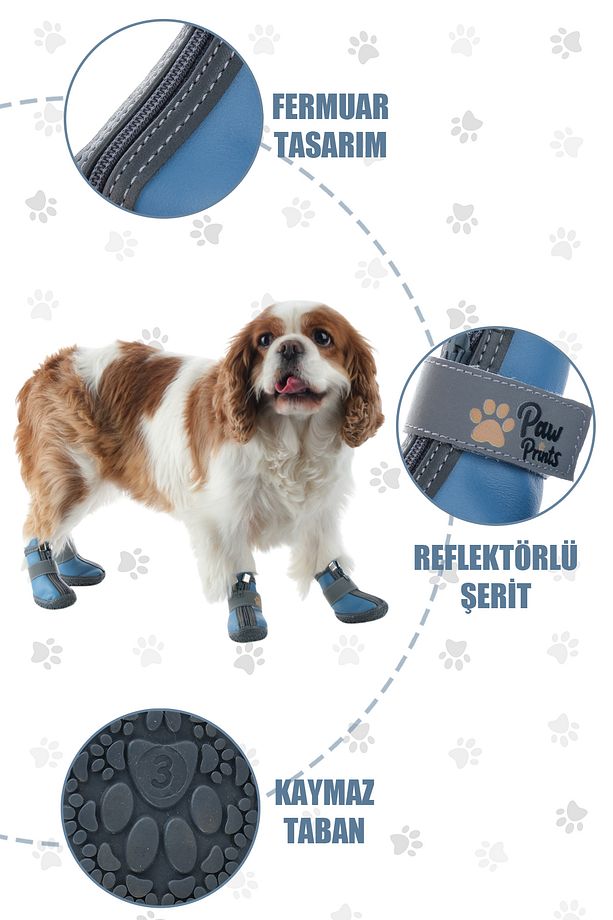 Kışlık Su Geçirmez Köpek Ayakkabısı, Deri Köpek Botu, Kauçuk Taban Köpek Ayakkabısı - 9
