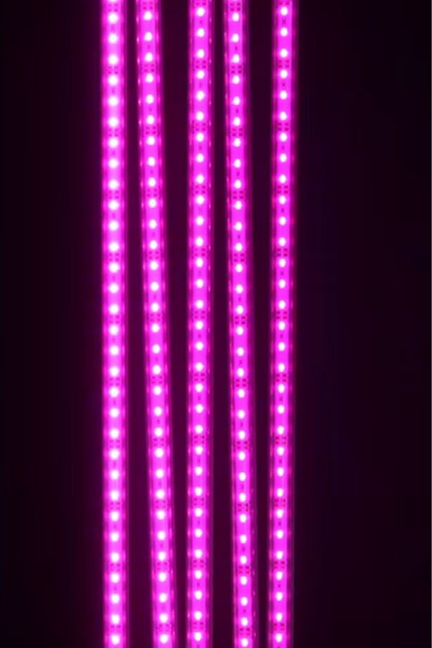 Grow Led 72 Ledli 12V 5630 Full Spectrum Bitki Yetiştirme Ledi - 3
