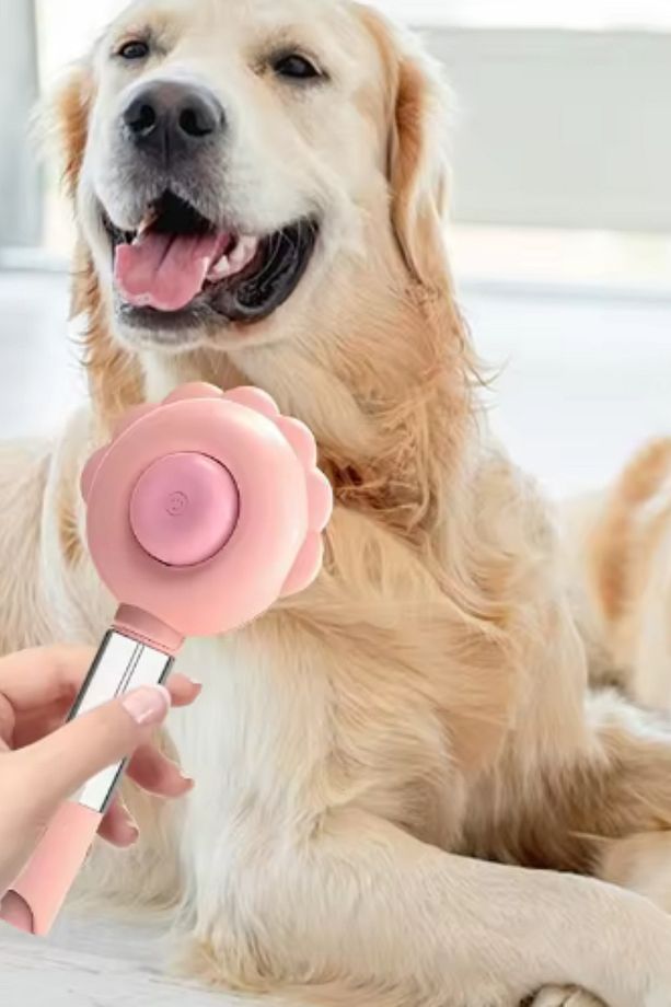 Çift Fonksiyonlu Su Sprey Hazneli | Tuşlu Kedi Tarağı | Kedi Köpek Fırçası - 7