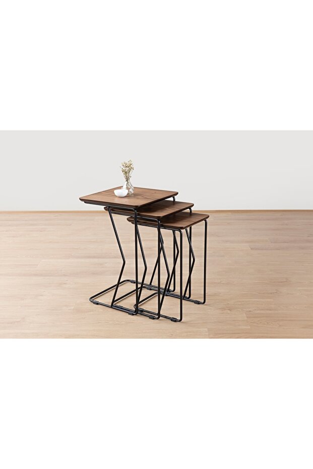 REN ZİGON SEHPA - 2