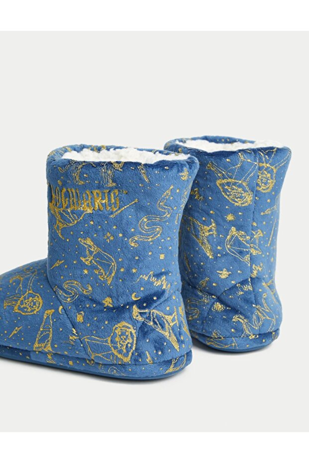 Harry Potter: Ev Botu - 2